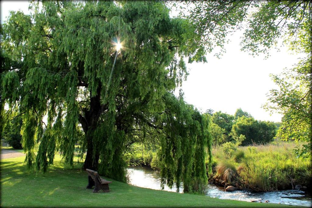 Aqua Terra Guest House Lydenburg Zewnętrze zdjęcie